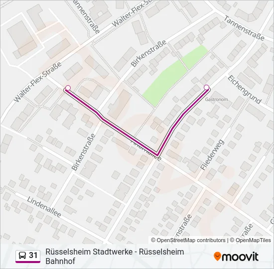 31 Bus Line Map