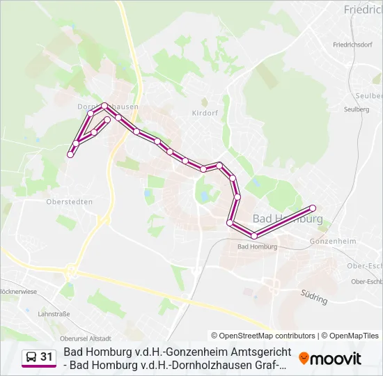 31 Bus Line Map