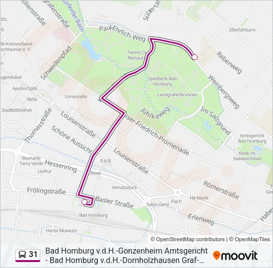 31 Bus Line Map