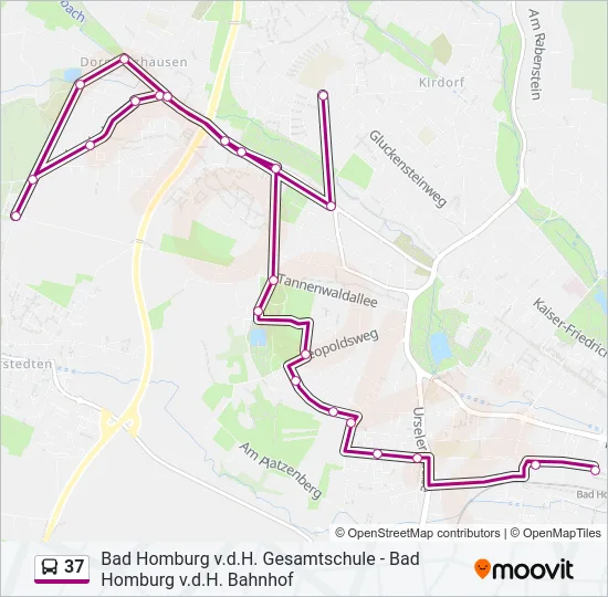 37 Bus Line Map