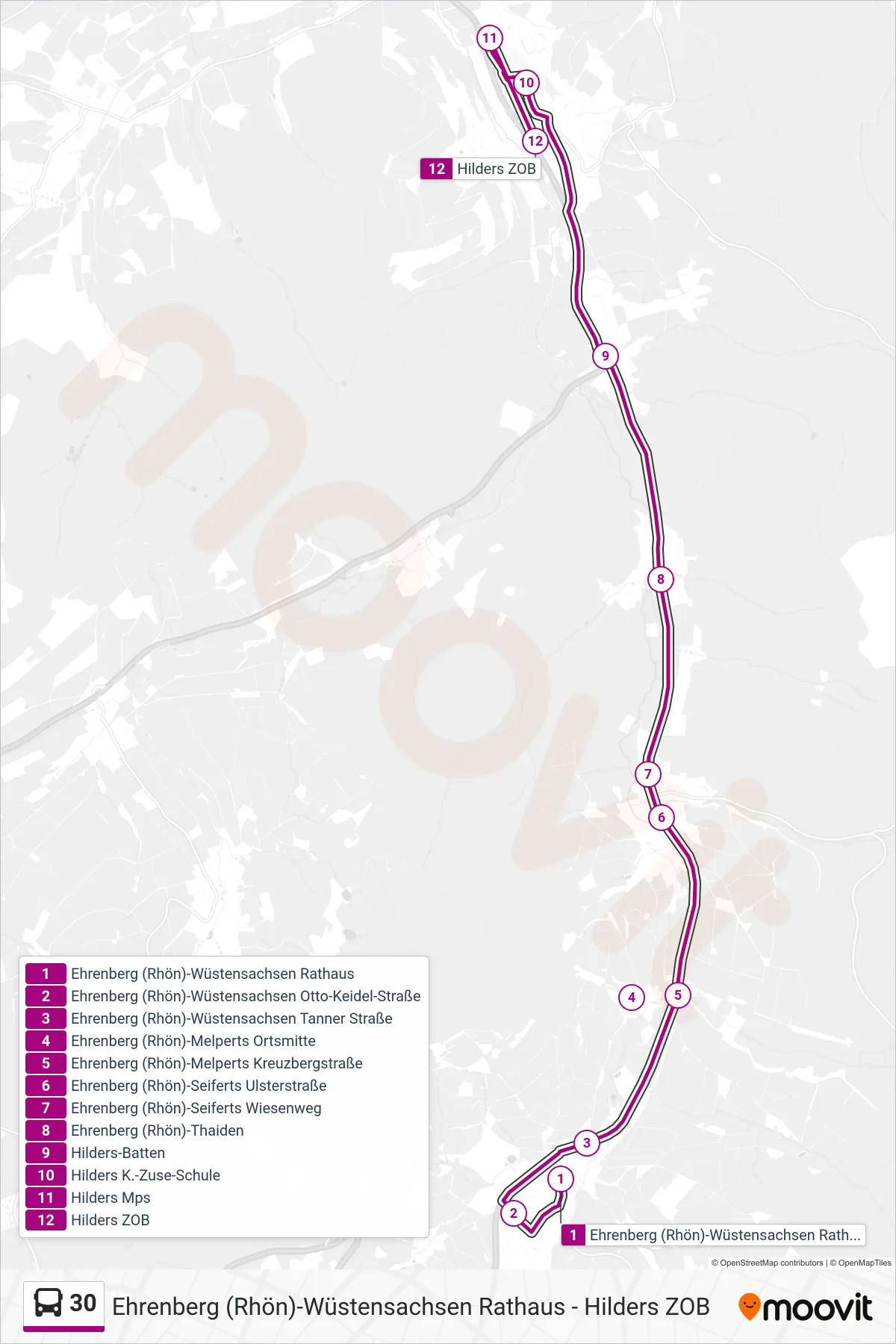 30 bus Line (Hilders ZOB) route and stops on a map