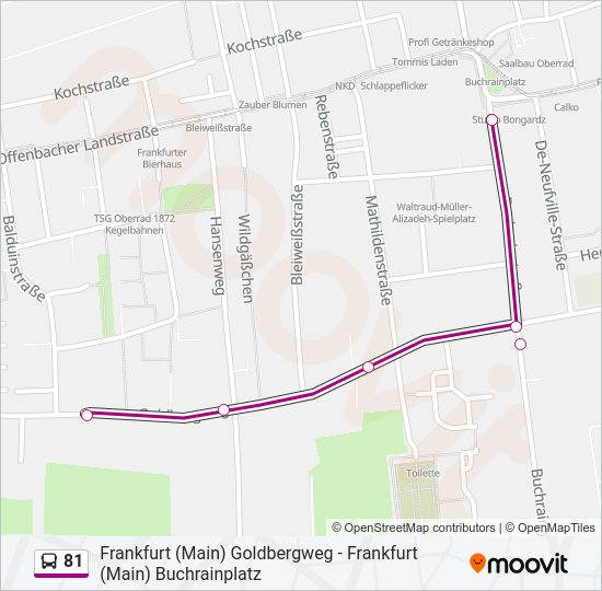 81 Bus Line Map