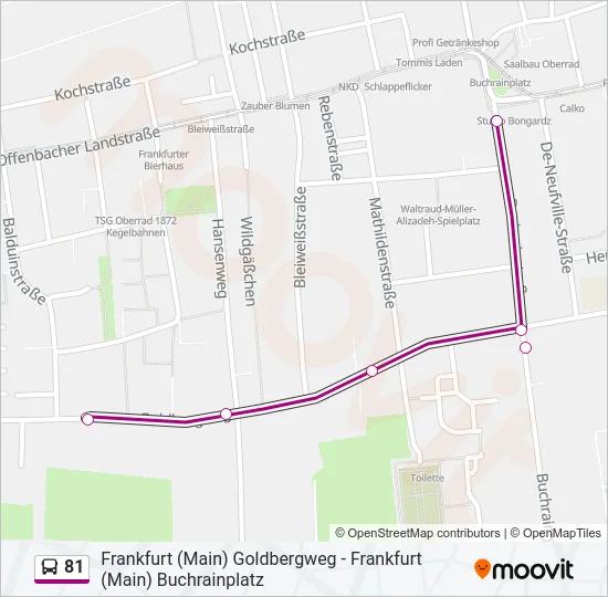 81 Bus Line Map