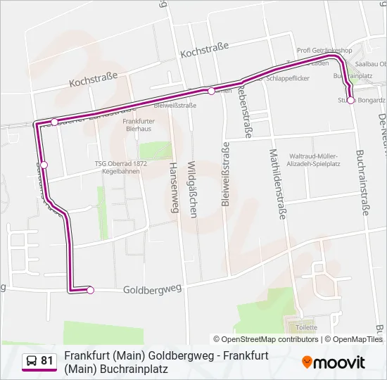 81 Bus Line Map