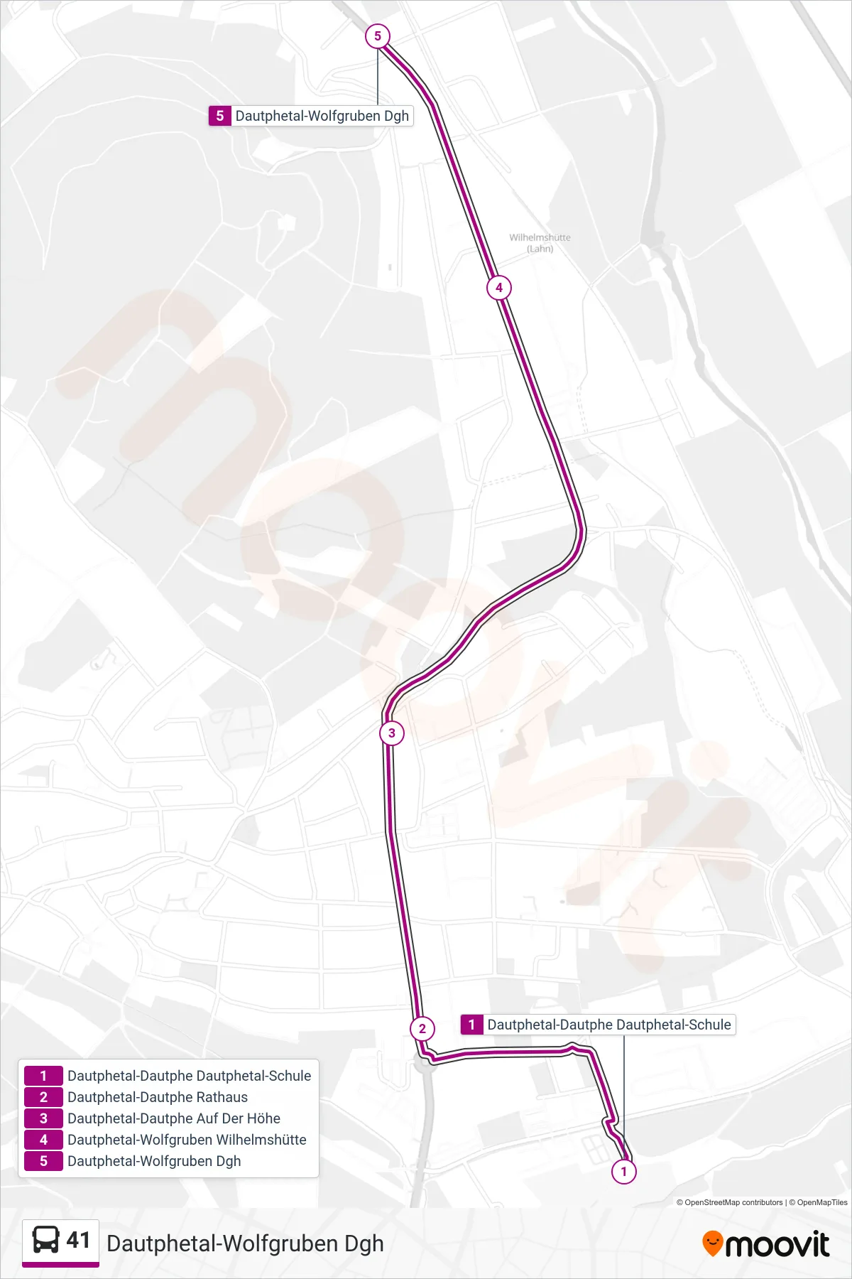 41 bus Line (Dautphetal-Wolfgruben Dgh) route and stops on a map