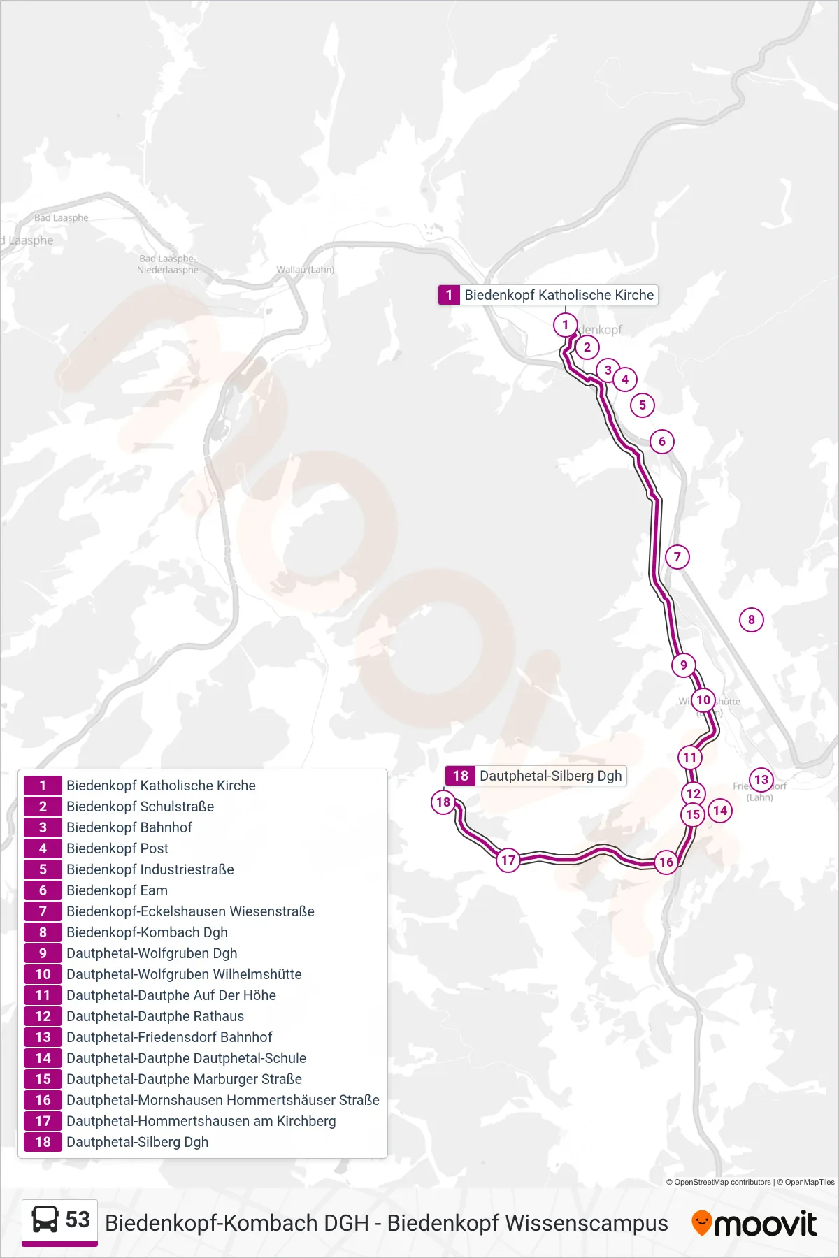 53 bus Line (Dautphetal-Silberg Dgh) route and stops on a map