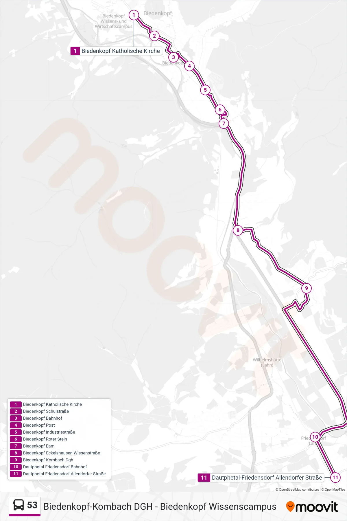 53 bus Line (Dautphetal-Friedensdorf Allendorfer Straße) route and stops on a map