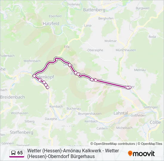 65 Bus Line Map