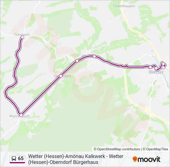 65 Bus Line Map