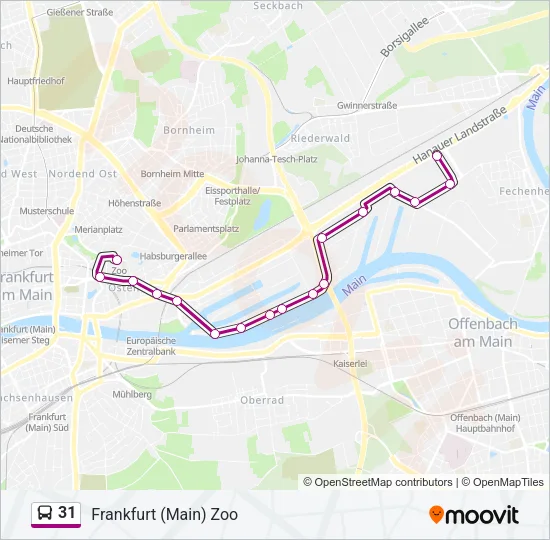 31 Bus Line Map