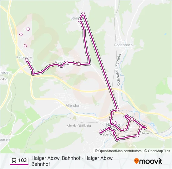 103 Bus Line Map
