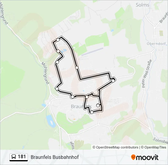 181 Bus Line Map