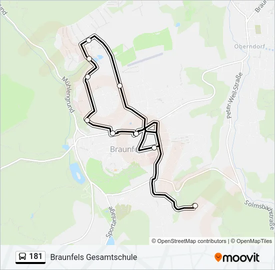 181 Bus Line Map