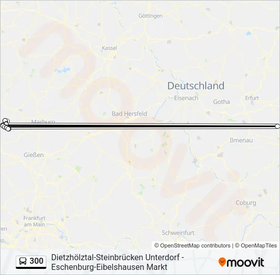 300 Bus Line Map