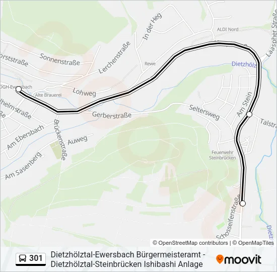 301 Bus Line Map