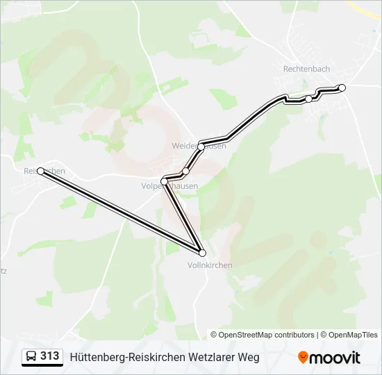 313 Bus Line Map