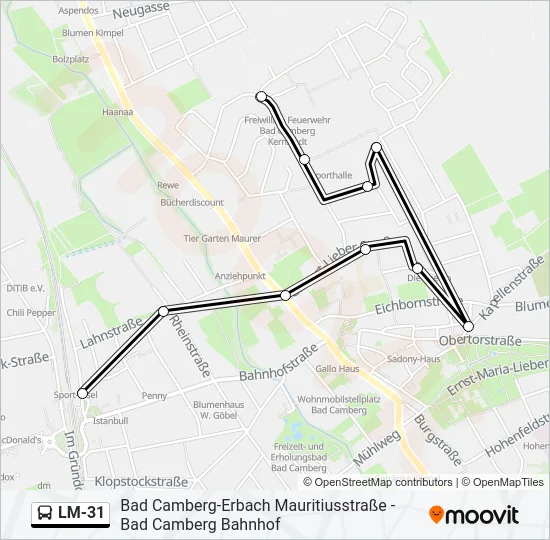 LM-31 Bus Line Map