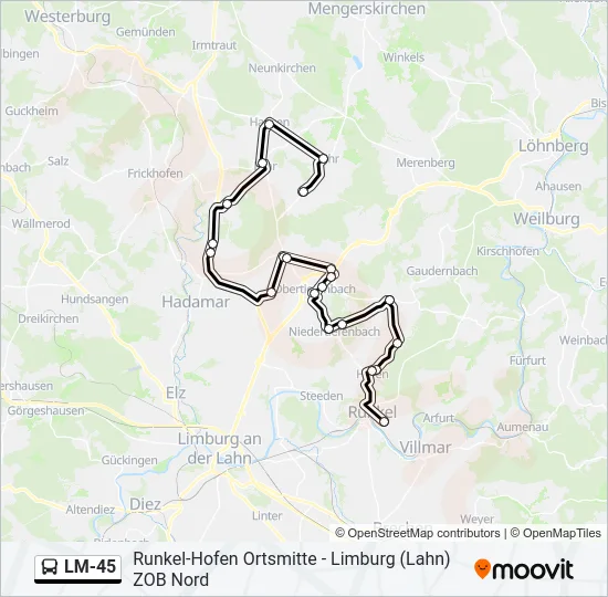 LM-45 Bus Line Map
