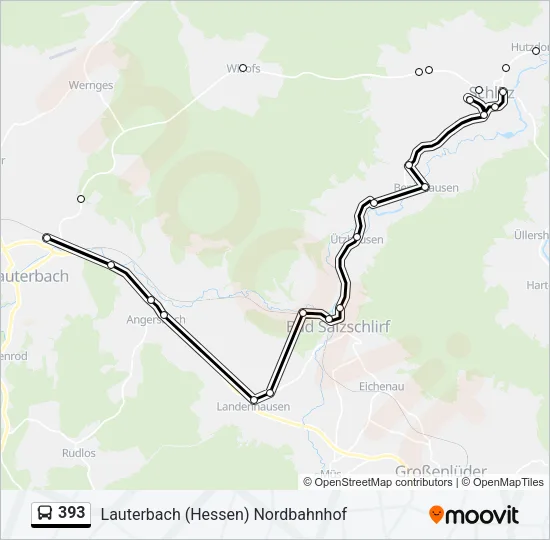 393 Bus Line Map