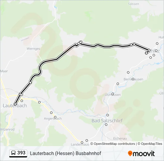 393 Bus Line Map