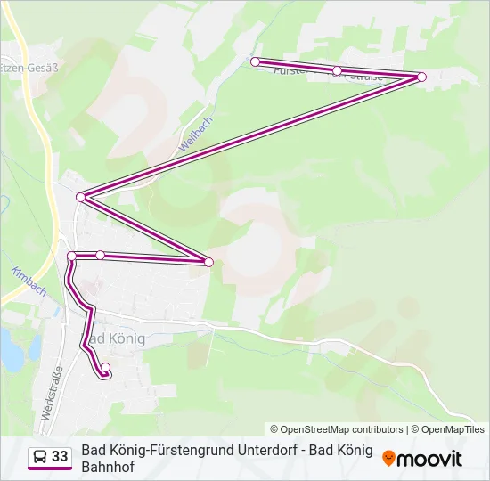 33 Bus Line Map