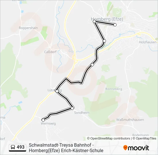 Автобус 493: карта маршрута