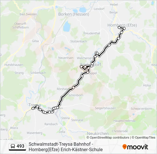 Автобус 493: карта маршрута