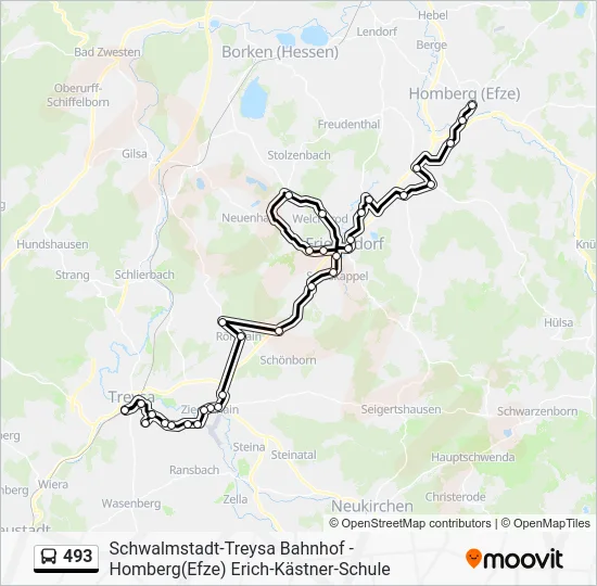 Автобус 493: карта маршрута