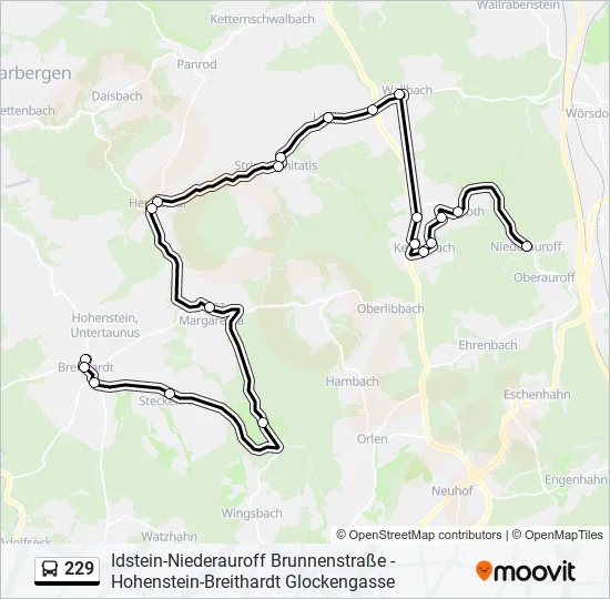 229 Bus Line Map