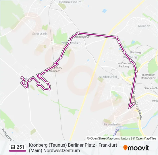 251 Bus Line Map