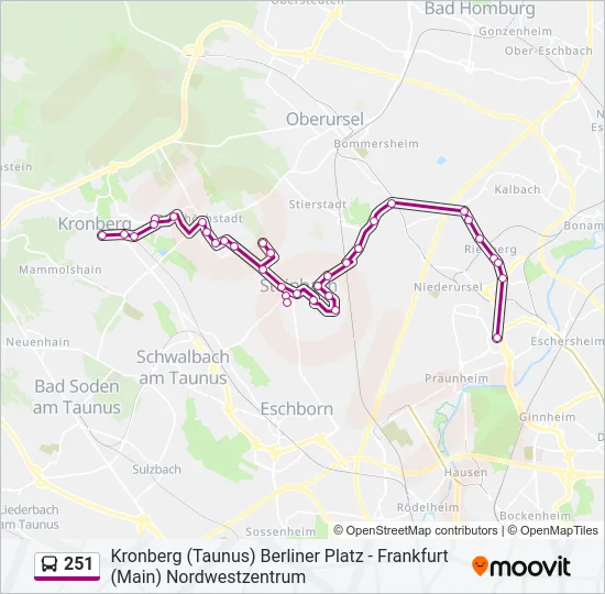 251 Bus Line Map