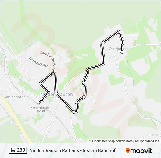 230 Bus Line Map