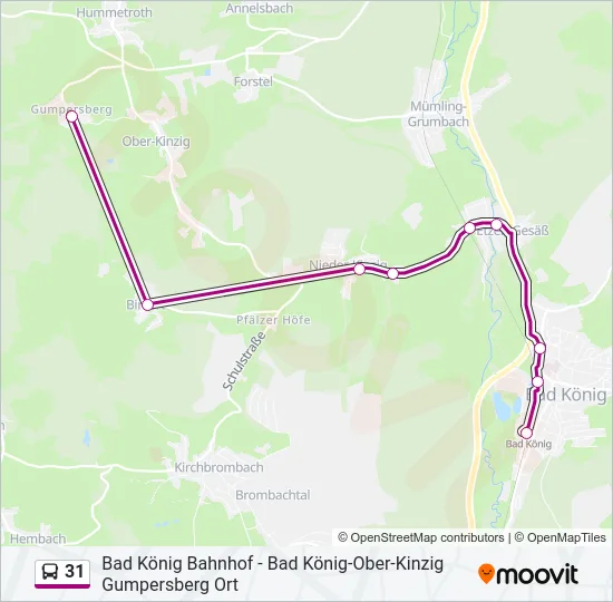 31 Bus Line Map