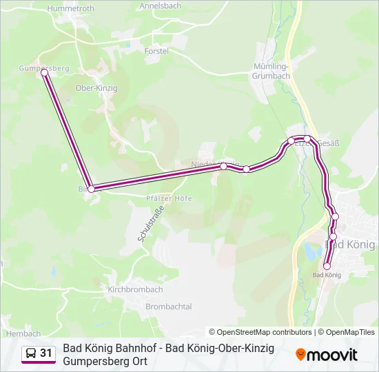 31 Bus Line Map