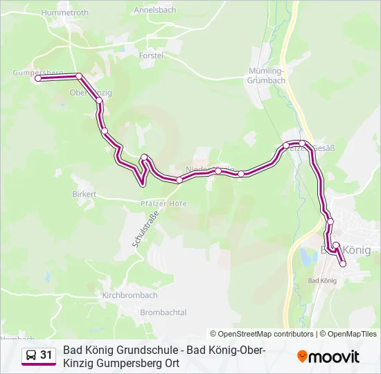 31 Bus Line Map