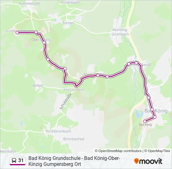 31 Bus Line Map
