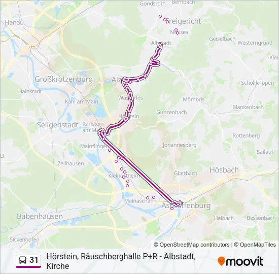31 Bus Line Map