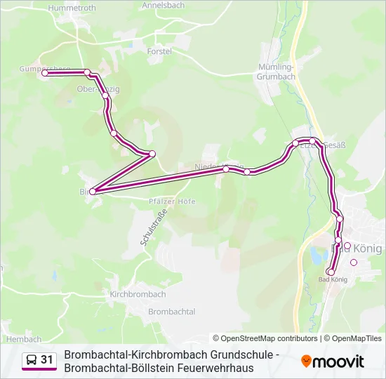 31 Bus Line Map