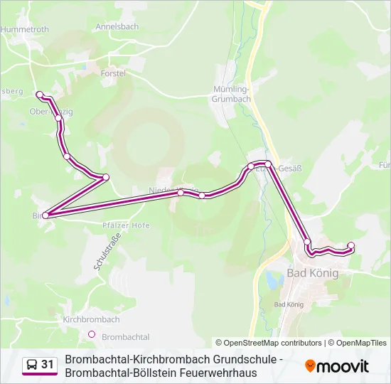 31 Bus Line Map