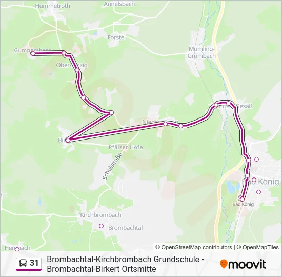 Автобус 31: карта маршрута