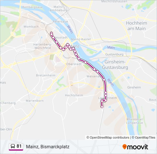 81 Bus Line Map