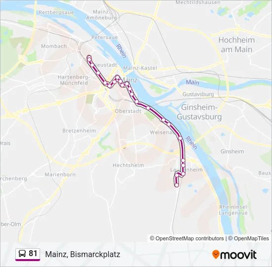 81 Bus Line Map