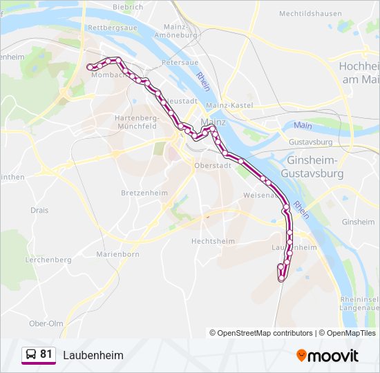 81 Bus Line Map