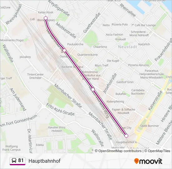 81 Bus Line Map