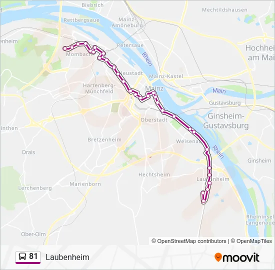 81 Bus Line Map
