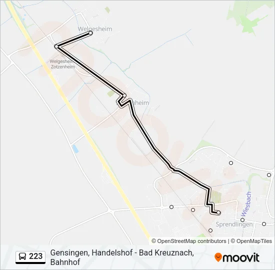 223 Bus Line Map