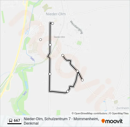 667 Bus Line Map