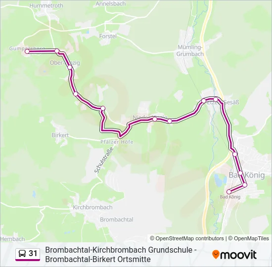31 Bus Line Map