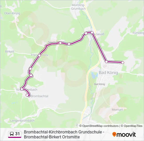 31 Bus Line Map