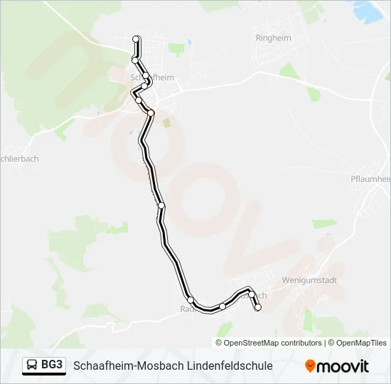 BG3 Bus Line Map